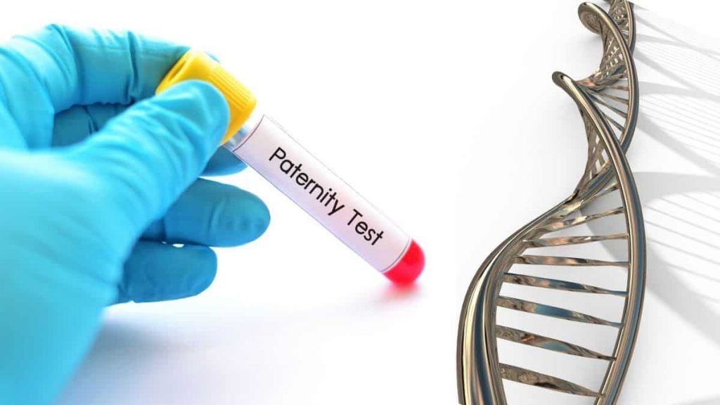How does a home paternity test kit accurately determine results?