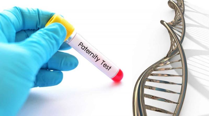 How does a home paternity test kit accurately determine results?